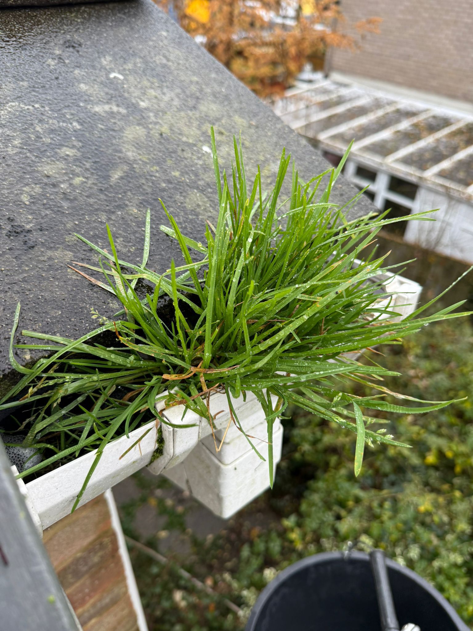 Blocked gutter downpipe in Esher